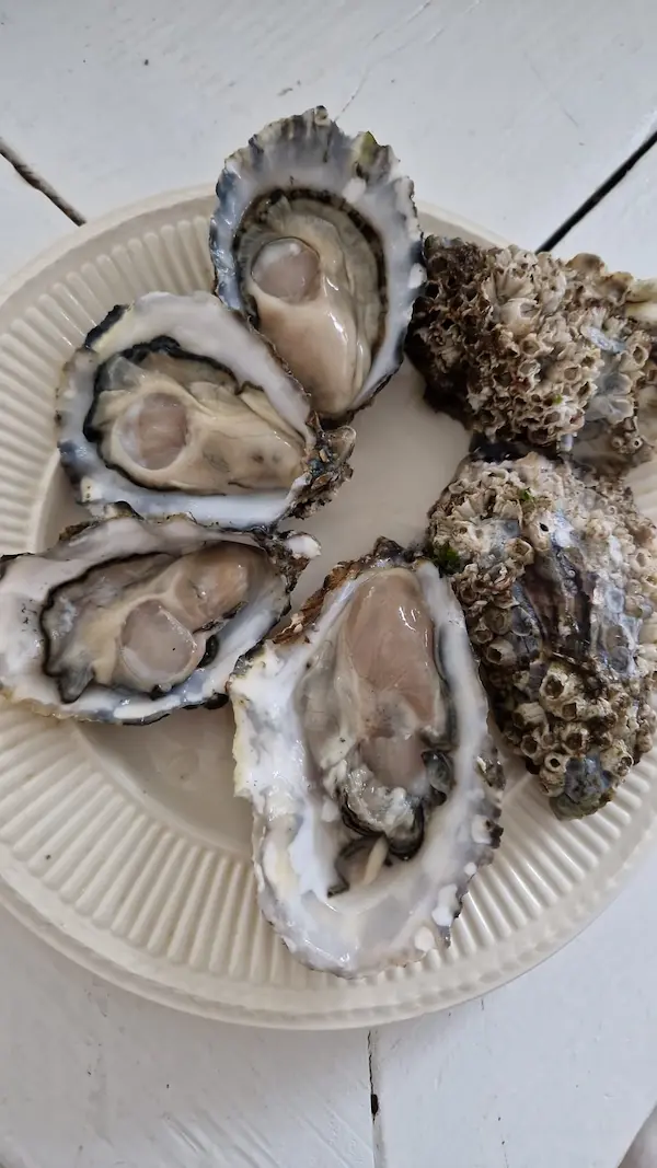 Voedsel